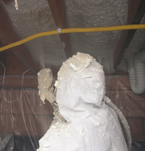 Dover NJ crawl space insulation